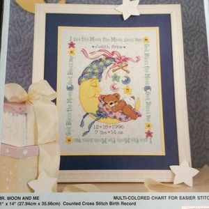 Counted cross stitch birth record